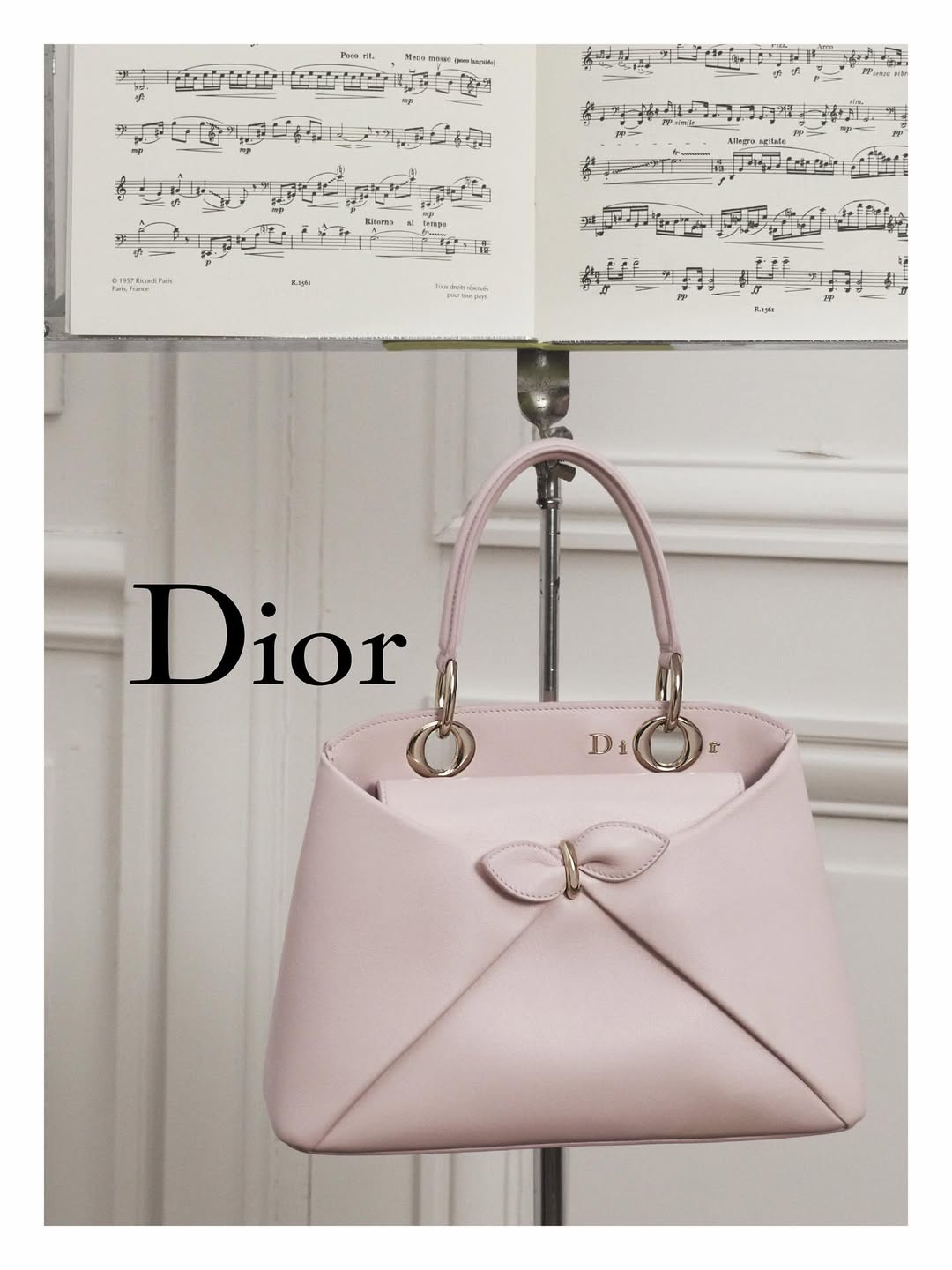 Luxury Handbag Designer Hand Bag Dior Bag